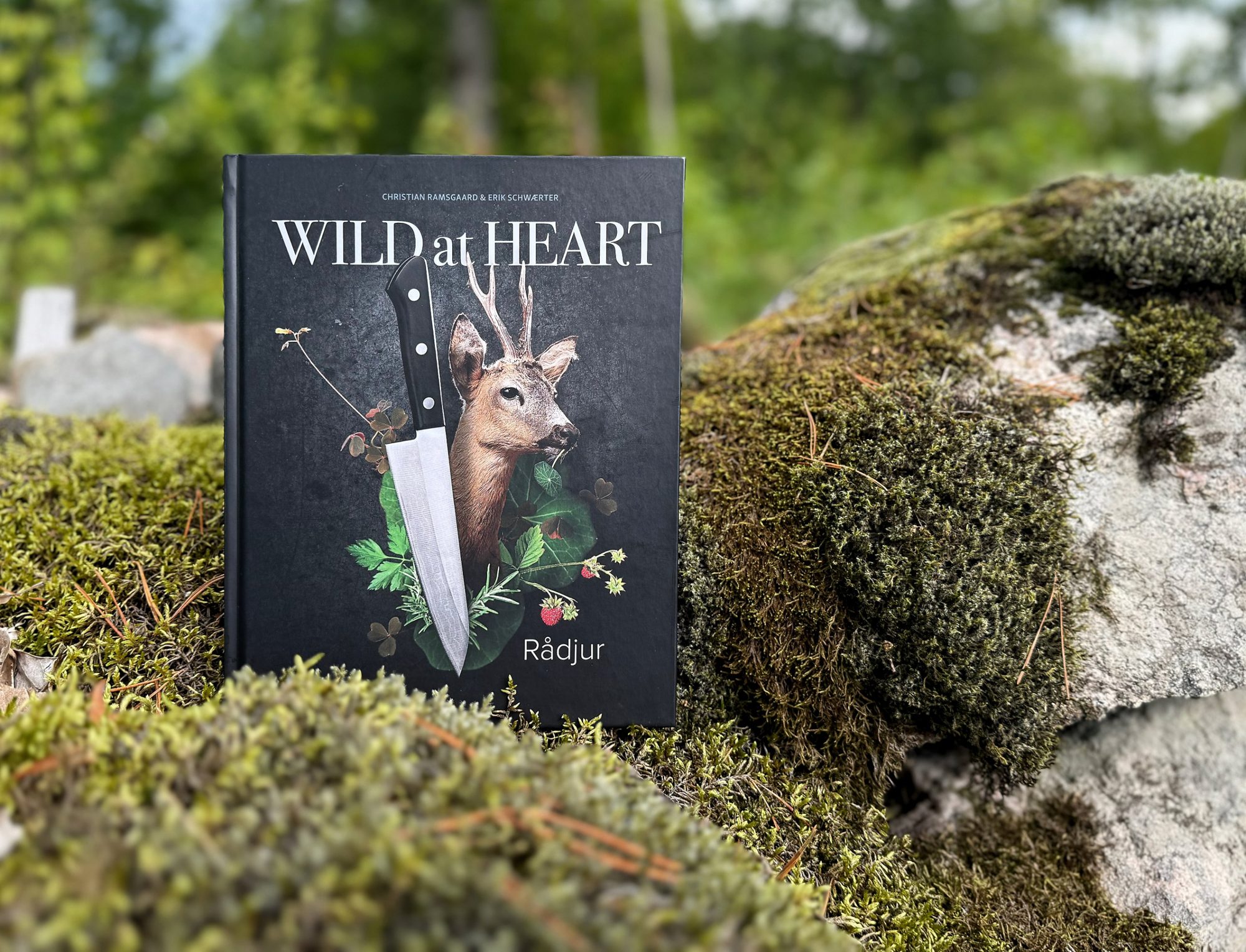 Kokboken WILD at HEART – Rådjur står på en mossbeklädd sten i skogen